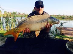 Casa Pestilor -  Sannicolau Mare - Septembrie 2015